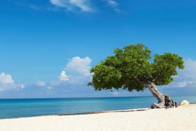 10 Healthiest Destinations to Visit This Summer