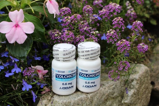 user friendly guide to Colchicine for gout Photo Credit: by @tiffany.ironfan, instagram.com